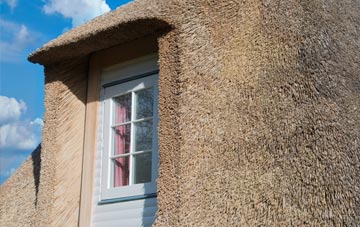 Western Bank thatch roof disadvantages